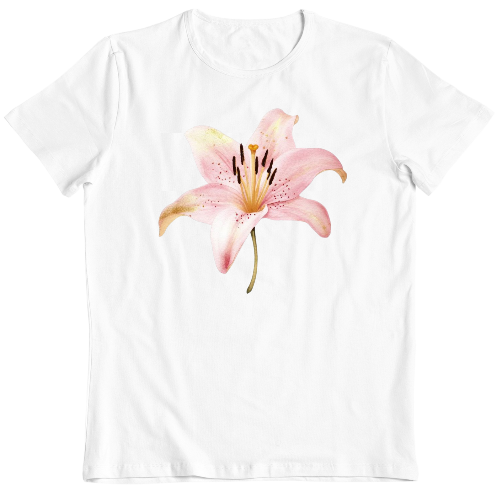 4_27514898-f060-4877-86e1-